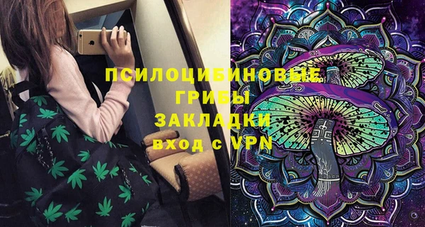 ПСИЛОЦИБИНОВЫЕ ГРИБЫ Абинск