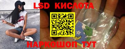 прущие грибы Камышлов