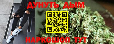 прущие грибы Камышлов