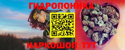 мдпв Кандалакша