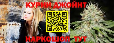 прущие грибы Камышлов