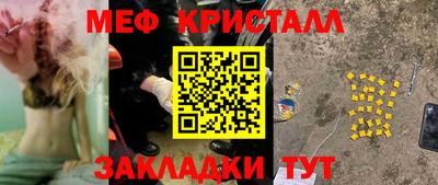 прущие грибы Камышлов