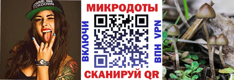 Псилоцибиновые грибы Cubensis  Канаш 