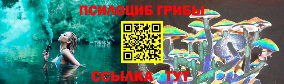 Галлюциногенные грибы Psilocybe Канаш